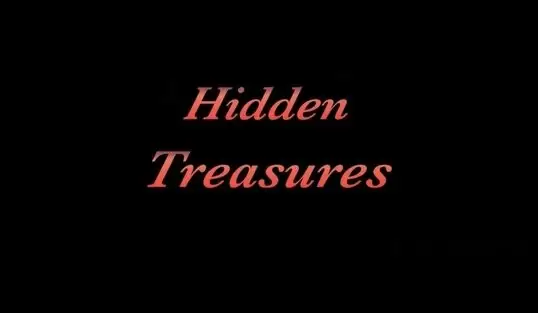 Hidden Treasures (2013)