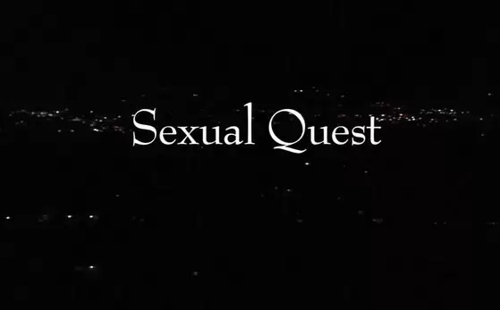 Sexual Quest (2011)