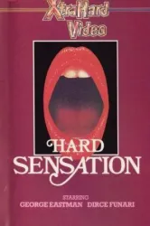 Hard Sensation (1980)