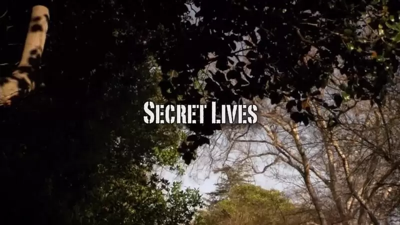 Secret Lives (2010)