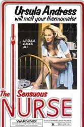 The Sensuous Nurse (1975)
