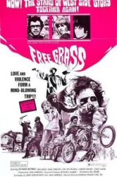 Scream Free (1969)