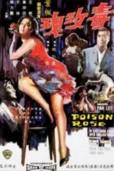 Poisonous Rose (1966)