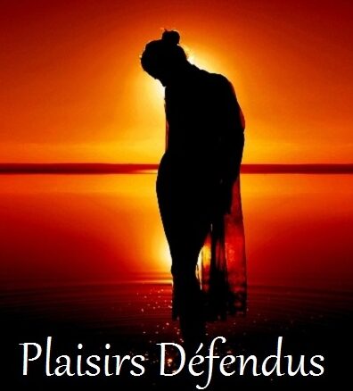 Plaisirs defendus (2005)