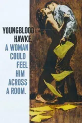 Youngblood Hawke (1964)