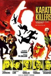 The Karate Killers (1967)