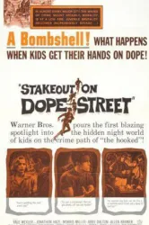 Stakeout on Dope Street (1958)