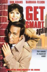 Get Smart Again (1989)