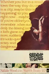 Splendor in the Grass (1961)