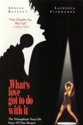 What’s Love Got to Do with It (1993)