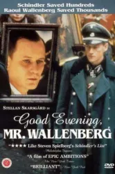 Good Evening Mr Wallenberg (1990)