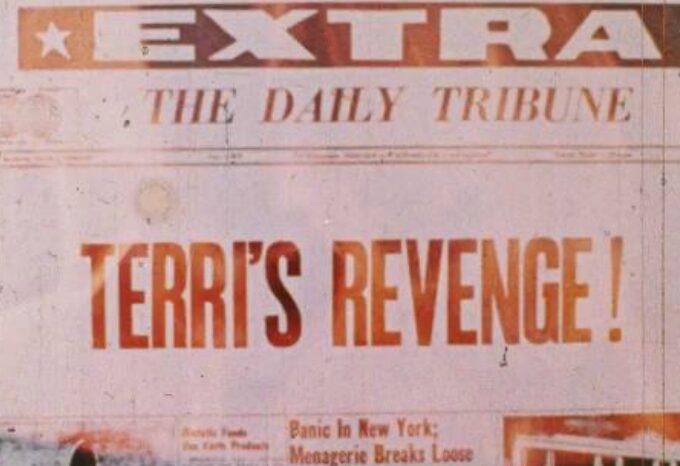 Terris Revenge (1975)