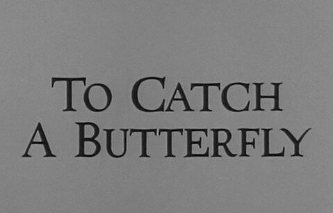 To Catch a Butterfly (1963)