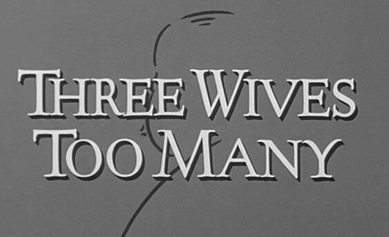 Three Wives Too Many (1964)