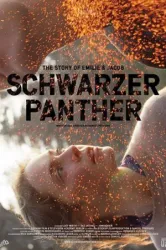 Schwarzer Panther (2014)