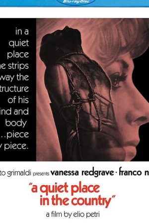 A Quiet Place in the Country (1968)