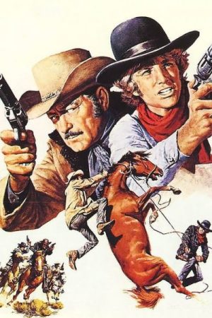 Wild Rovers (1971)