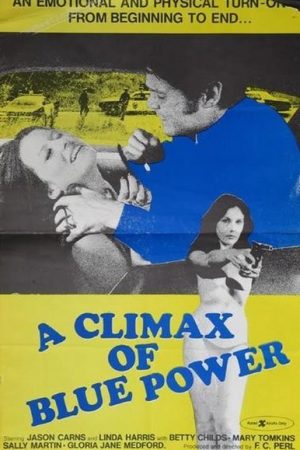 A Climax of Blue Power (1974)
