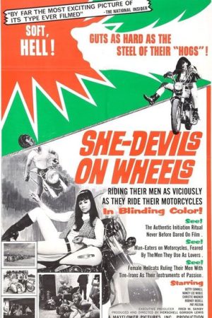 She Devils on Wheels (1968)